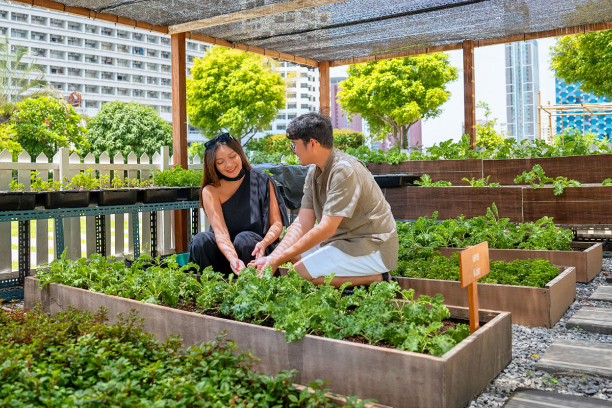 Steps Towards a Greener Future - 아마리 방콕