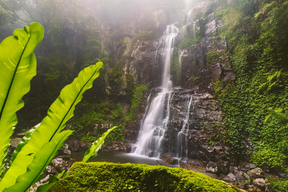 Revitalising Naturescape - 아마리 방 비엥